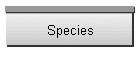 Species