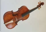 viola