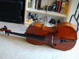 cello