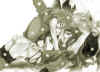 05-1.jpg (49770 bytes)