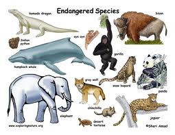 Endangered Species