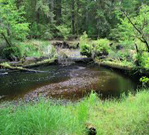habitat