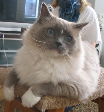Iko in October-07, photo by P. K�h�