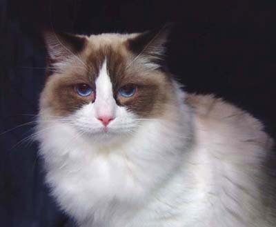 Nicholas