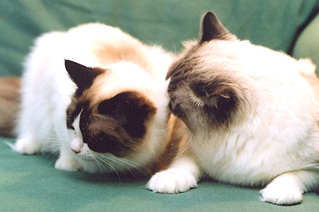 Timya and Antonio in January 2002