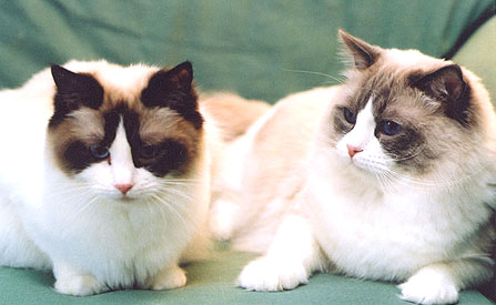 Timya and Antonio in January 2002