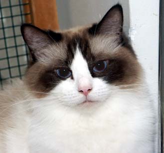 Timya in 2004