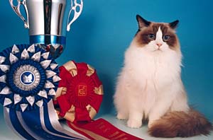  World Winning Nicholas :o)