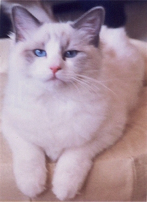 Linda at 5 months, photo by P. K�h�