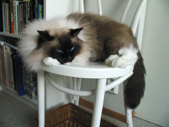 Rio taking it easy, as usual ;o)