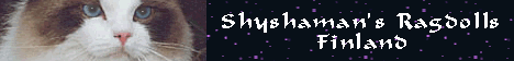 The Shyshaman's banner was designed by Andy Lamacraft in 2001