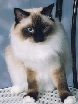 Susu, photo by Etukuva, courtesy of
S. Heiskanen
