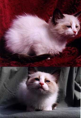 Timya as a teeny weeny baby