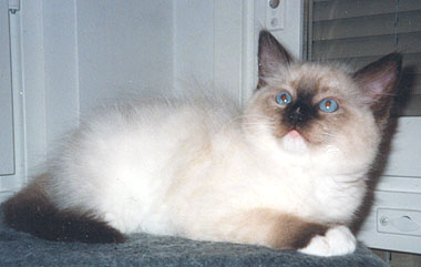 Rio at 10 weeks