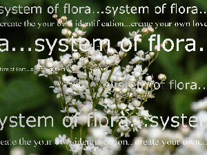 create your own identification...create your own love.