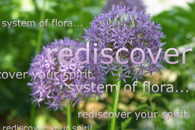 rediscover