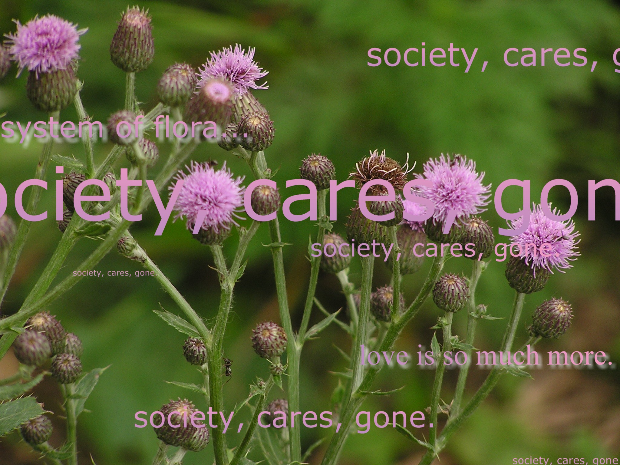 society, cares, gone.