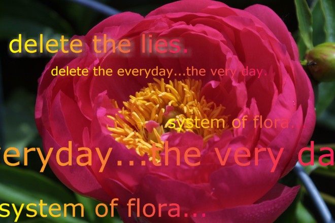 delete the lies.