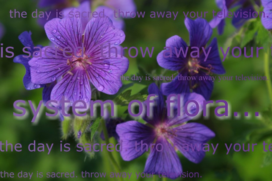 throw away