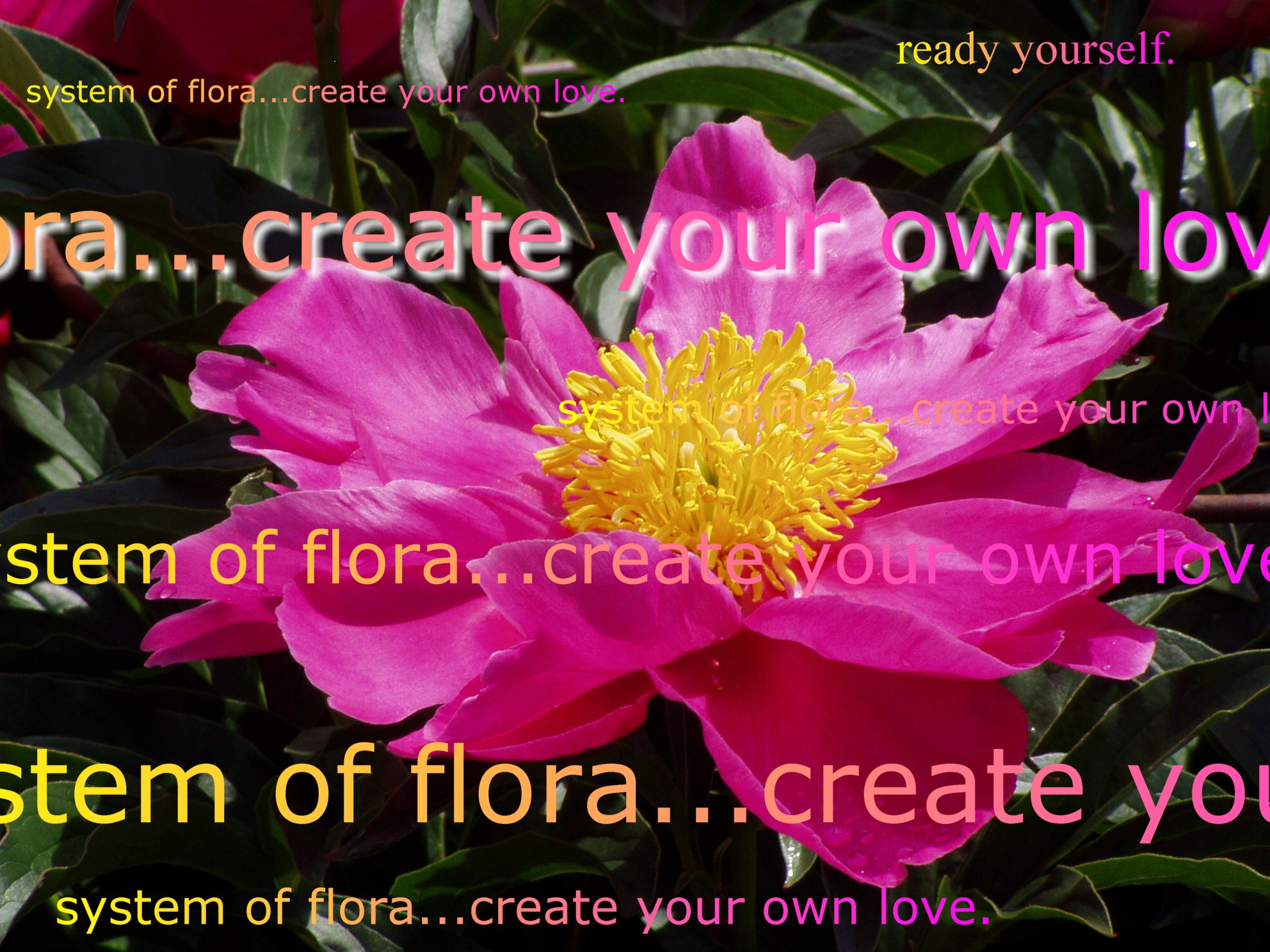 create your own love.