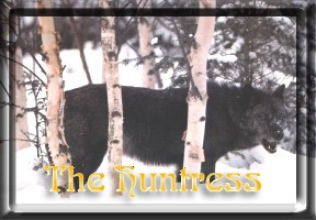 The Huntress