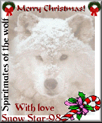 Spiritmates Christmas Gift from Snow_Star