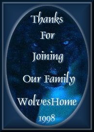 Adoption your own wolf from Wolves Home!