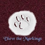 View The Markings