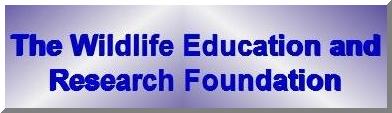 The Wildlife Education and Research Foundation
