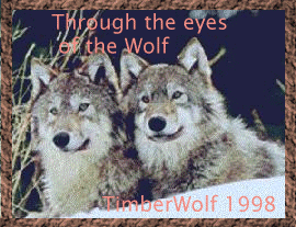 Through The Eyes of the Wolf