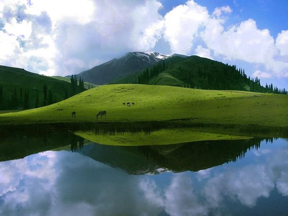 The Deosai Plateau is the second highest plateau in the world[Pakistan]: 