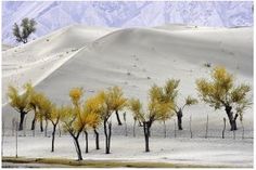 3. Cold Desert of Skardu in Pakistan.