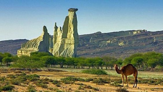 Baloch Daughter on Twitter: "A beautiful spot in Balochistan with an amazing rock in this picture: 
