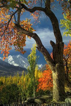 View Near Khaplu Valley: 