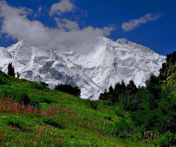 Rakaposhi Peak in spring[Pakistan]: 