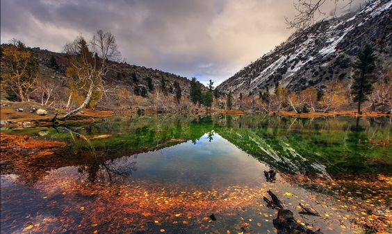 Naltar lake.Pakistan: 
