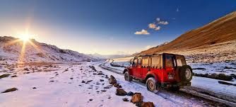 Image result for deosai plains brown bears: 