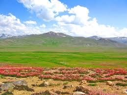 deosai national park - Google Search: 
