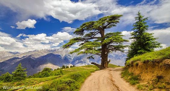 deosai national park - Google Search: 