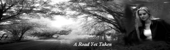 roadbanner1.jpg