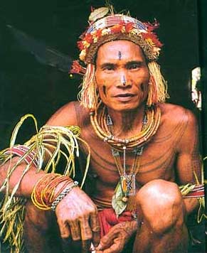 ca 30000 Mentawais bor p� Sumatras Pugai�ar