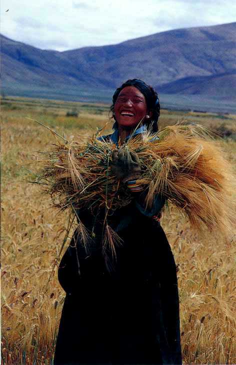 Tibet