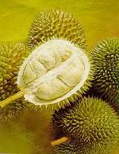 Durian