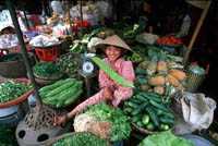 Siagians torkar ris p� norra Sumatera i byn Hutabayu, Gratis hemk�rning av asiatisk mat fr�n Indonesien, Malaysia, Kina och Thailand till hush�ll inom Sollentuna, Akalla, Hjulsta, Tensta, Husby, Kista, Stora Lappk�rrsberget och Bergshamra. Varor som chilis�ser, soja, ris, rambutan, fisks�ser, kokosmj�lk, riskokare, sate, ostrons�s, nudlar, champinjoner, te, kryddor, coca-cola, kastruller. �ven postorderf�rs�ljning, recept, l�nkar, foton. Internetshoppa fr�n Siagians Lilla Matbutik. Asian food by mail order from Indonesia, China. Coconut milk, rice cookers, satay, oyster, noodles, chillisauces, fish sauces, the, spices, recepies. Photos and Asialinks. Belanja makanan murah dan enak disini. Pisang, kecap, asin, manis, kerupuk, santan, mie, bumbu, nasi, ayam, daun salam. resep