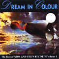 DREAM IN COLOUR - THE BEST OF NOW & THEN VOL.1 / VARIOUS ARTISTS