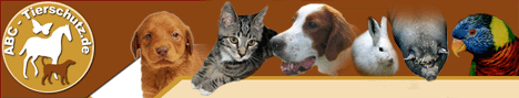 www.abc-tierschutz.de