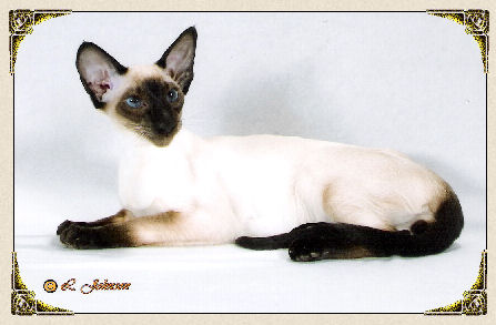 Another Photo of Sealee