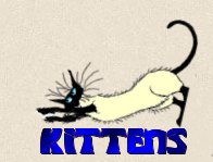 Kittens