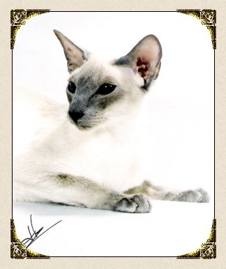 Lili