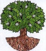Oak Tree